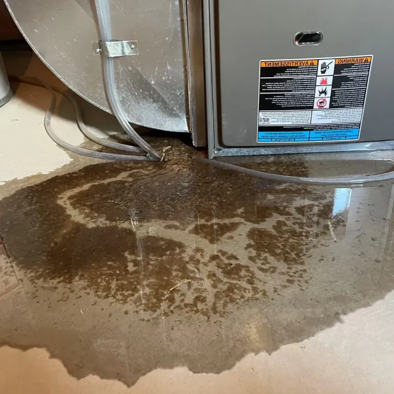 Pipe Burst and Leak Restoration in Agua Fria, NM